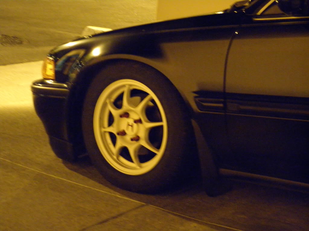 Name:  P10101391.jpg
Views: 47
Size:  84.5 KB