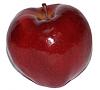 I'm new to the forum-red-delicious-apple.jpg