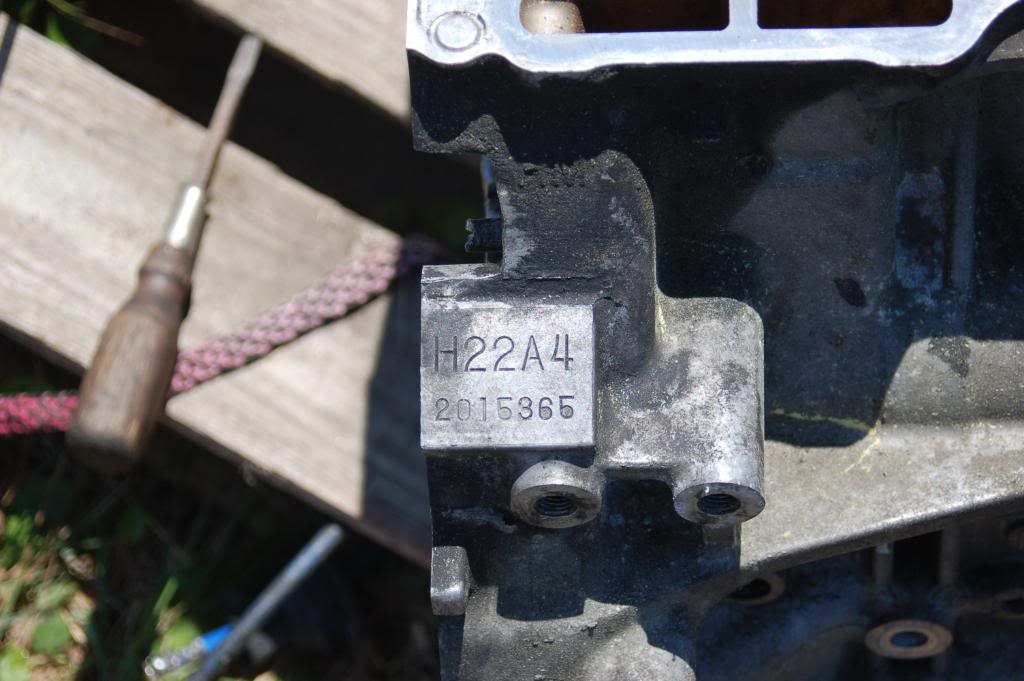 Name:  DSC_0141-2.jpg
Views: 113
Size:  87.6 KB