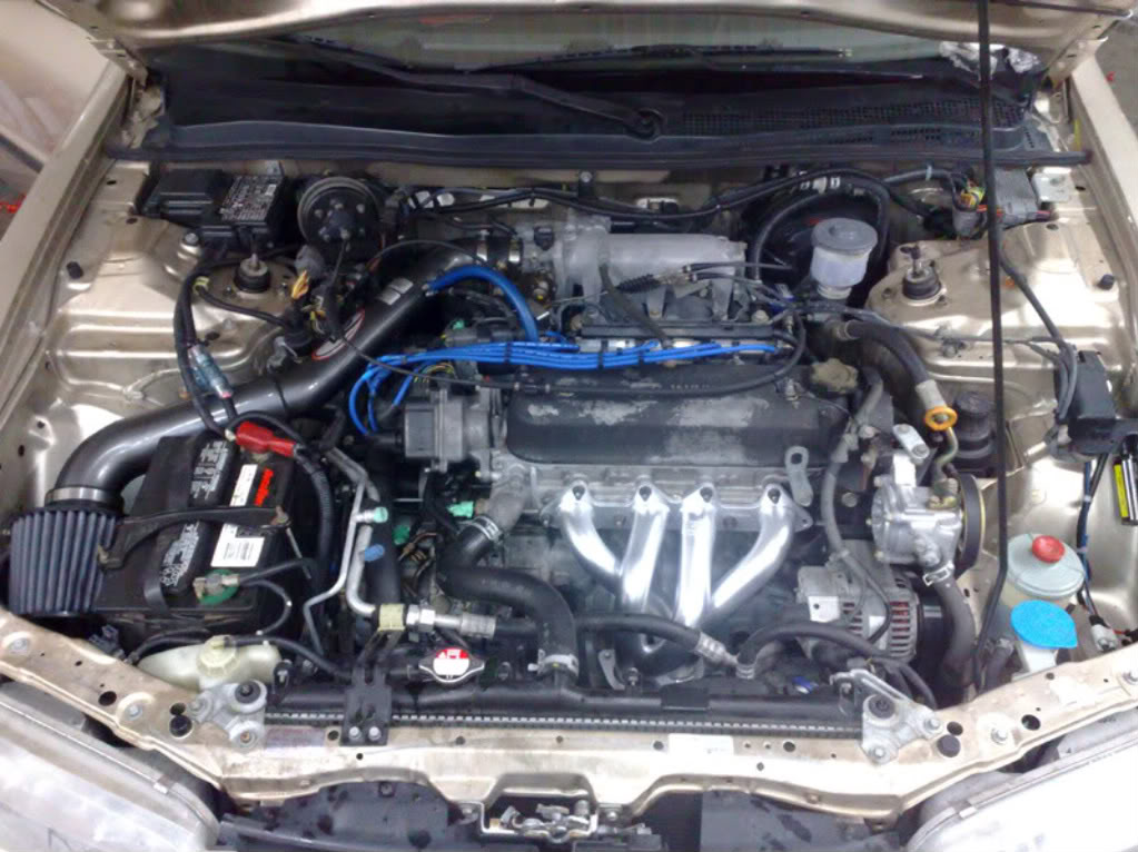 Name:  padillaz1.jpg
Views: 35
Size:  136.9 KB