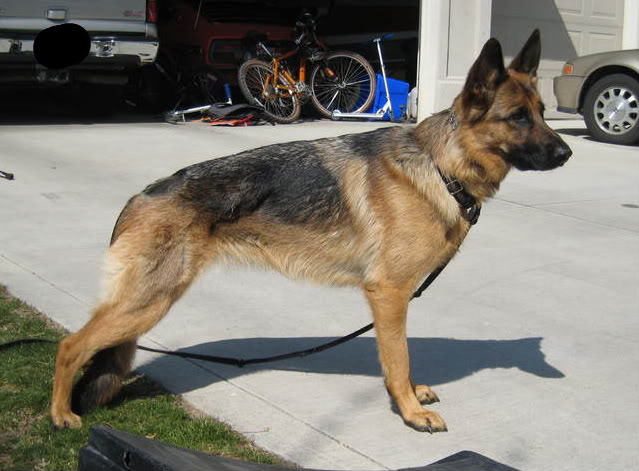 Name:  stack3.jpg
Views: 25
Size:  60.4 KB