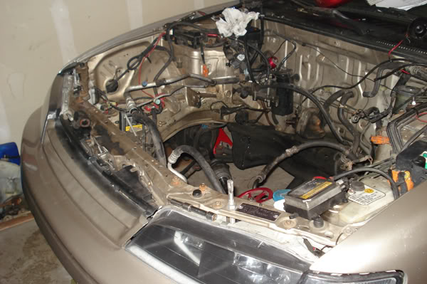 Name:  DSC02446.jpg
Views: 48
Size:  60.7 KB