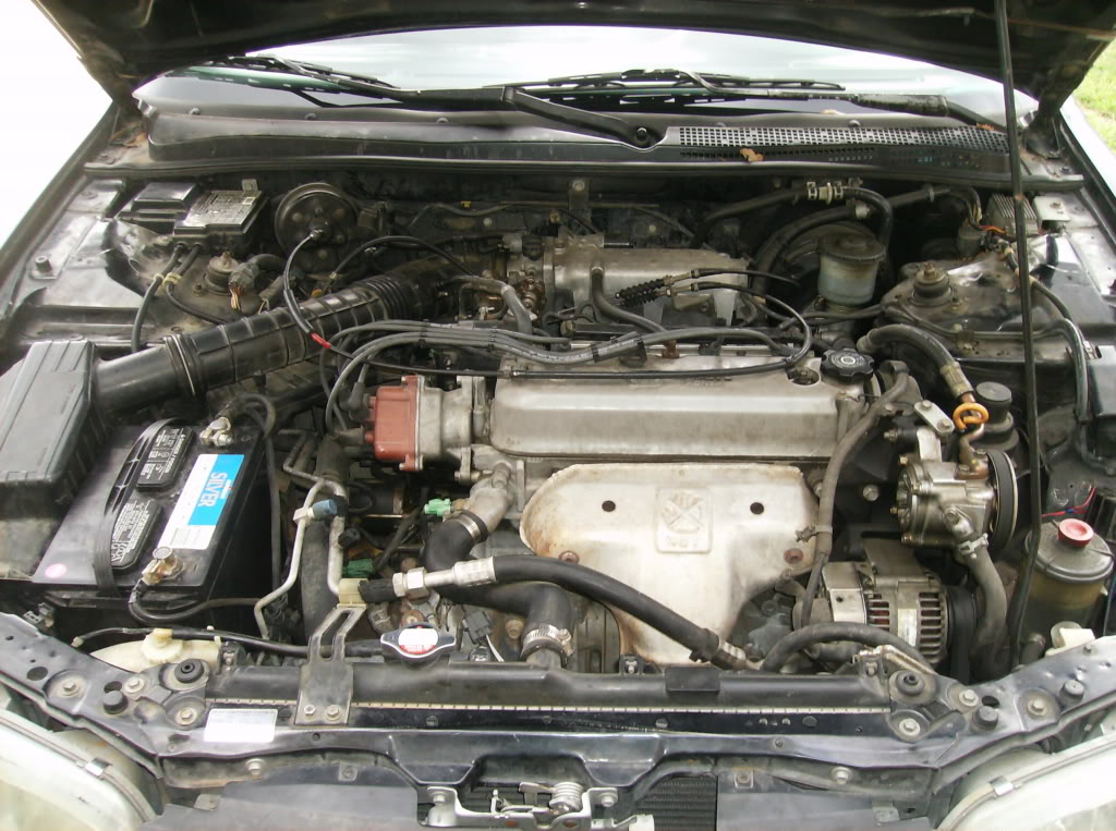 Name:  blaccstacey006.jpg
Views: 34
Size:  196.2 KB