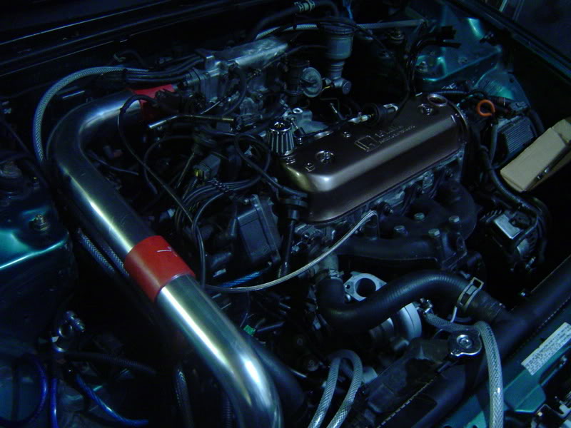 Name:  DSC04389.jpg
Views: 81
Size:  78.2 KB