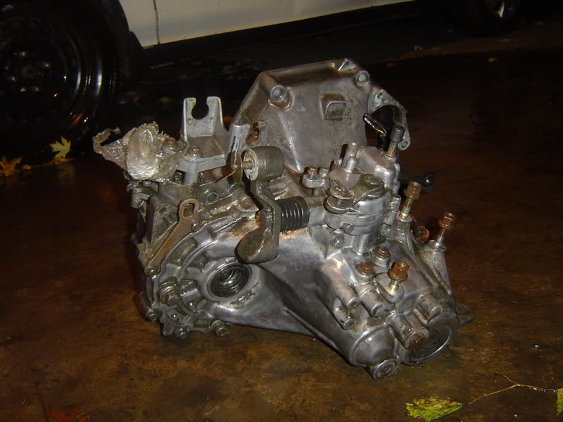 Name:  DSC04383.jpg
Views: 81
Size:  77.0 KB