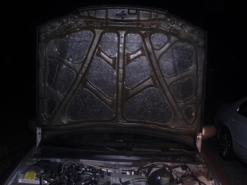 Name:  HoodBottom.jpg
Views: 94
Size:  46.0 KB