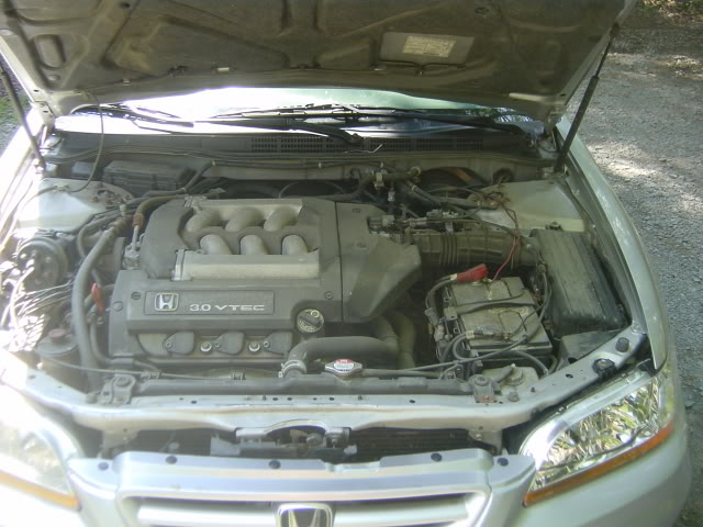 Name:  July16028.jpg
Views: 66
Size:  60.9 KB