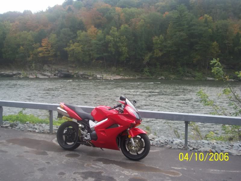 Name:  Nutmeg022.jpg
Views: 90
Size:  88.7 KB