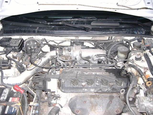 Name:  Picture021.jpg
Views: 82
Size:  86.1 KB