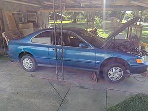First Honda and already is a lump!-tweety.jpg