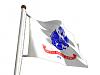 New Guy-armyflag.jpg