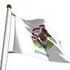 Wanna say Hi..-illinoisflag.jpg
