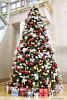 New guy-christmastree.jpg