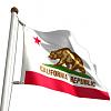 Hey-californiaflag.jpg
