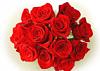 Newbette-91314_150.jpg