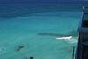 Accord-cancunmexiconov2011ginaand-michaelwedding-003.jpg