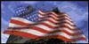new to the forum-wtc2.jpg