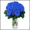 New One..-954blue-roses.jpg