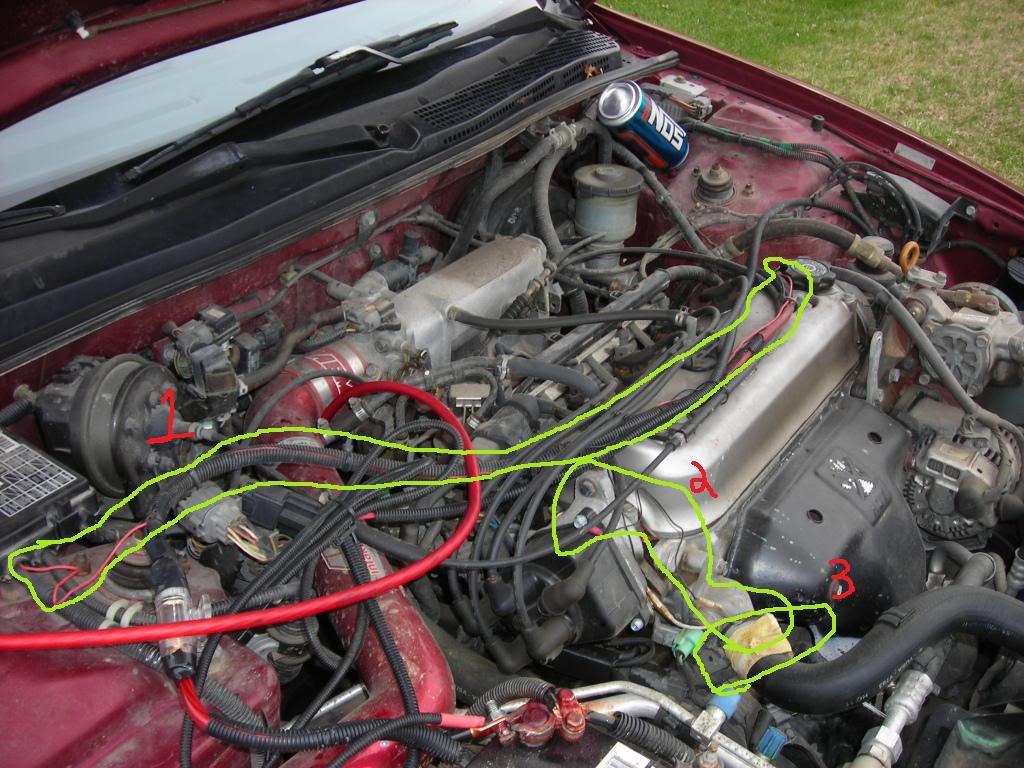 Name:  DSCN2470.jpg
Views: 48
Size:  140.6 KB