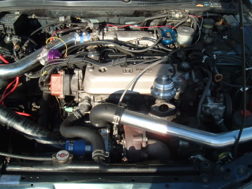 Name:  DSCF1635.jpg
Views: 28
Size:  51.2 KB