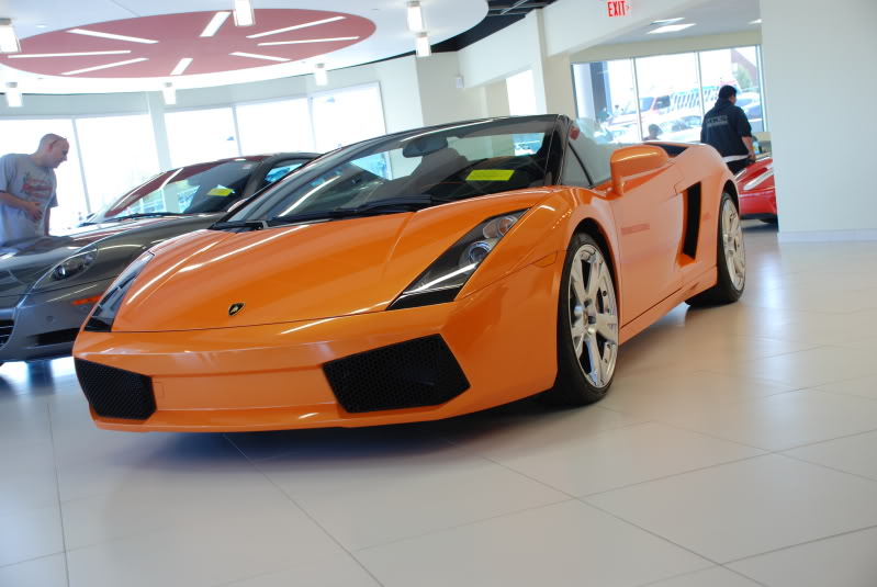 Name:  DSC_2145.jpg
Views: 95
Size:  91.1 KB