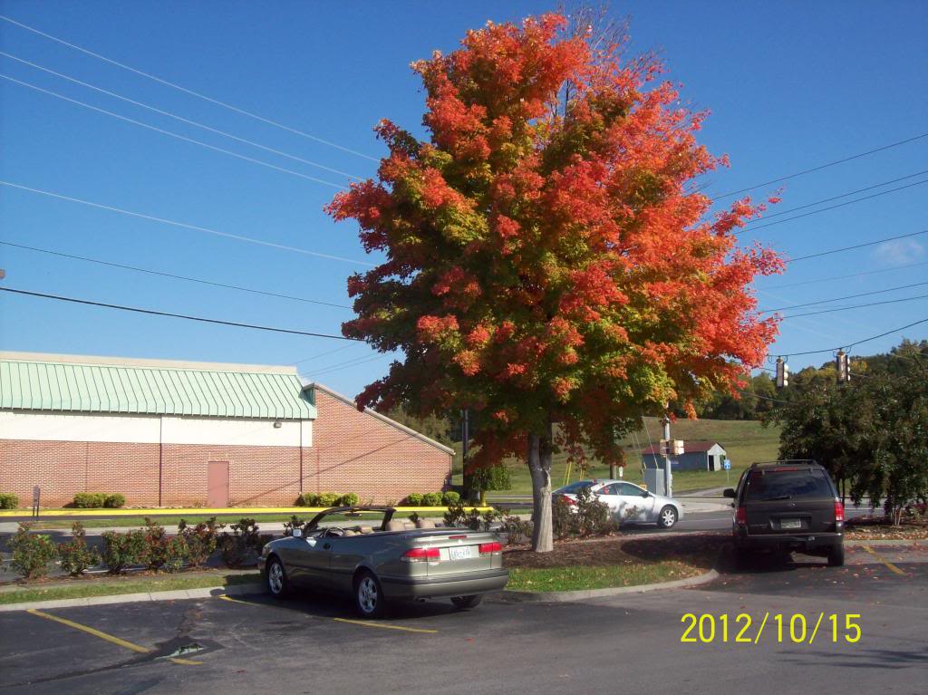 Name:  101_4658_zps25e060d6.jpg
Views: 118
Size:  123.0 KB