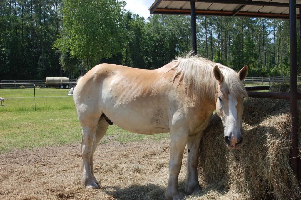 Name:  DSC_0192.jpg
Views: 190
Size:  156.0 KB