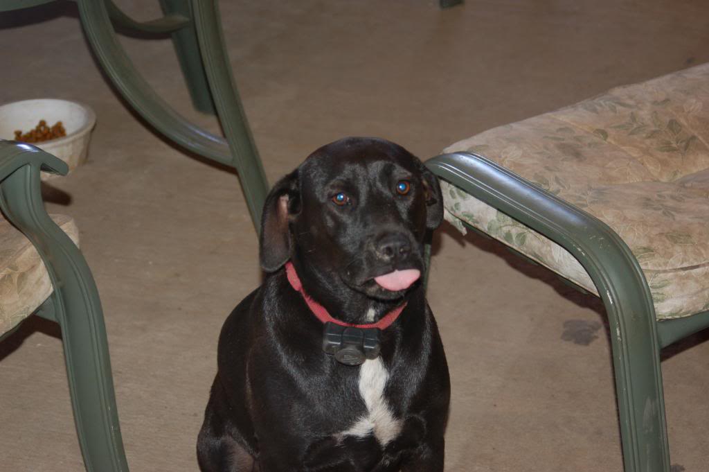 Name:  DSC_0182.jpg
Views: 191
Size:  66.1 KB