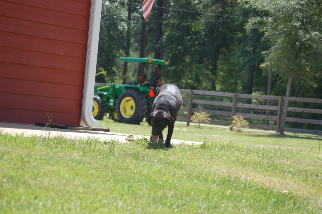 Name:  DSC_0195.jpg
Views: 167
Size:  110.2 KB