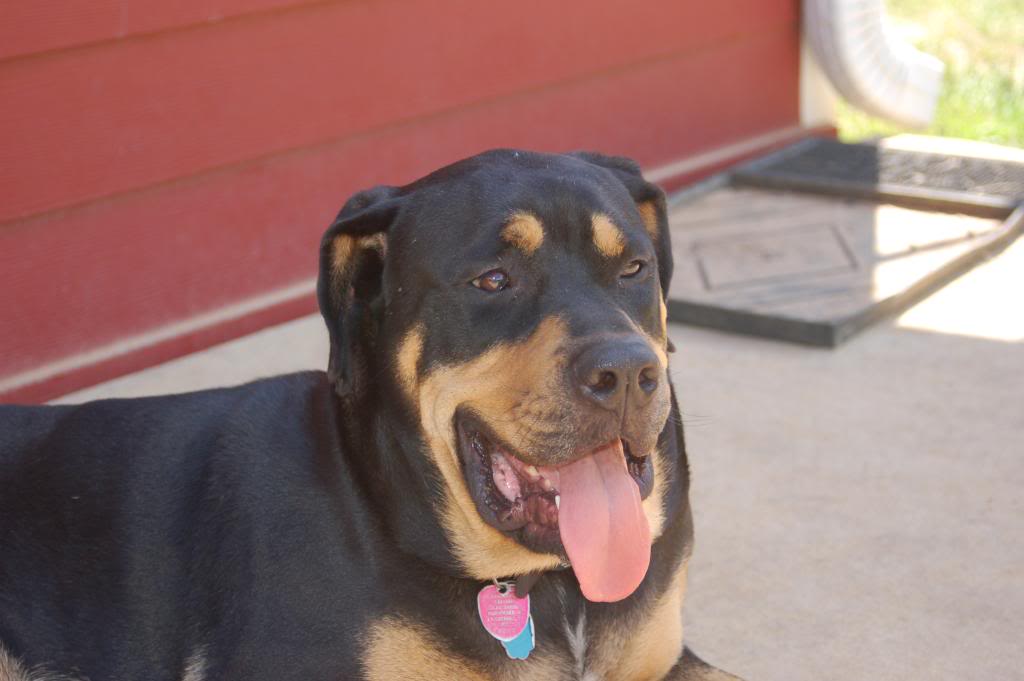 Name:  DSC_0205.jpg
Views: 185
Size:  60.5 KB