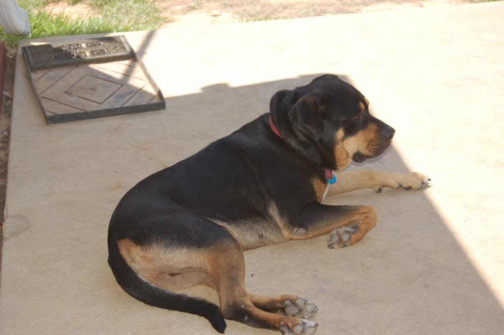 Name:  DSC_0201.jpg
Views: 162
Size:  67.3 KB