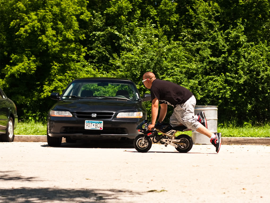 Name:  img_3981_2.jpg
Views: 169
Size:  254.9 KB