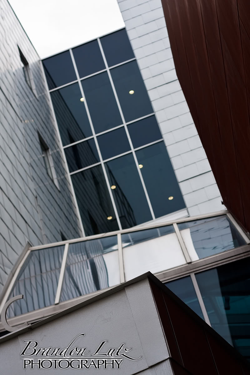 Name:  IMG_3793.jpg
Views: 47
Size:  135.1 KB