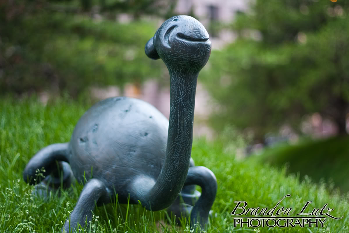 Name:  IMG_3880.jpg
Views: 31
Size:  132.0 KB