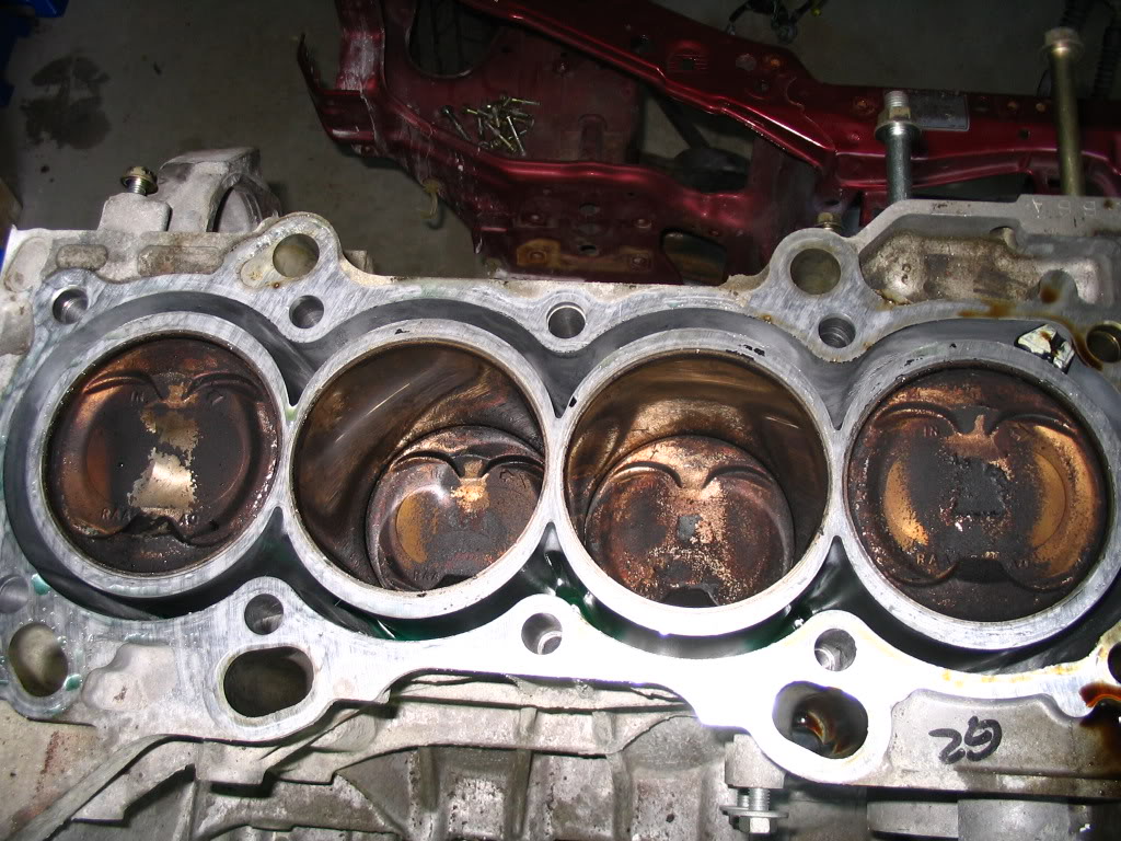 Name:  IMG_2755.jpg
Views: 29
Size:  189.1 KB