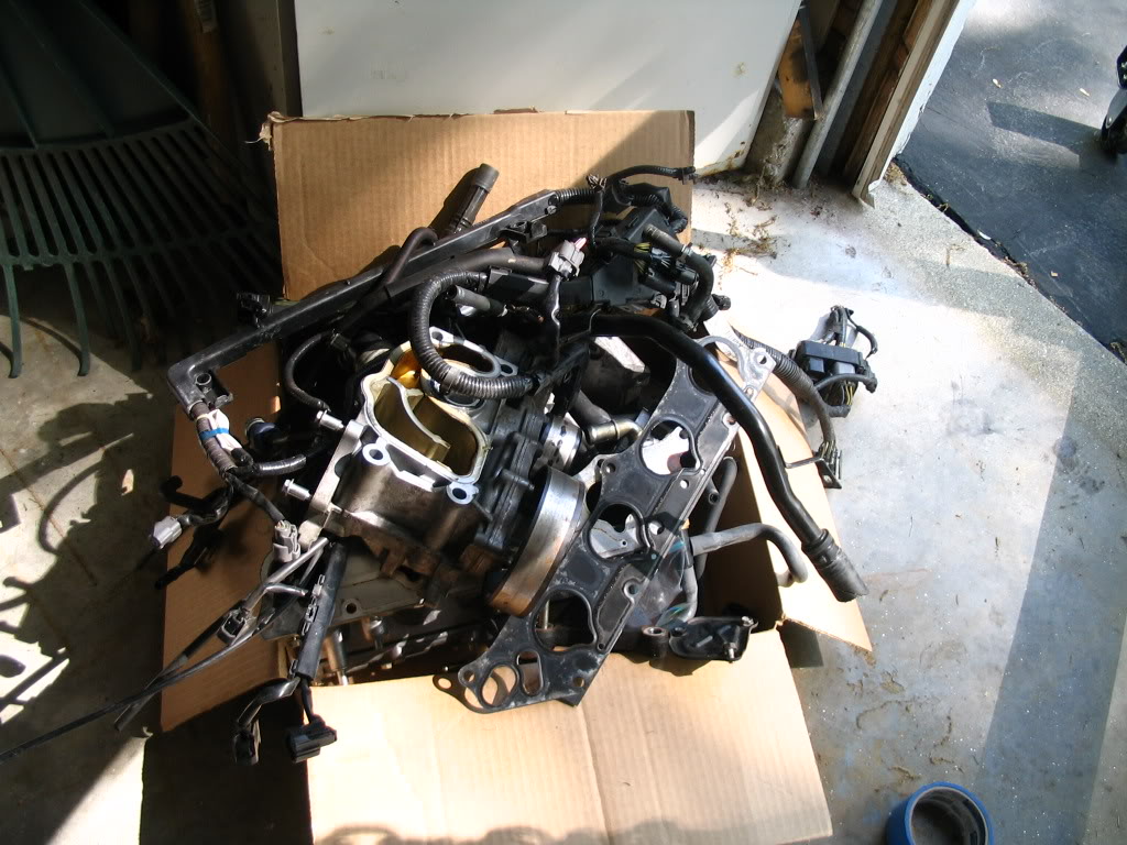 Name:  IMG_2751.jpg
Views: 32
Size:  154.4 KB