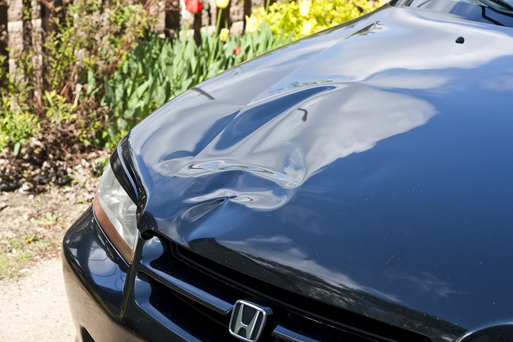 Name:  hood2.jpg
Views: 73
Size:  136.1 KB