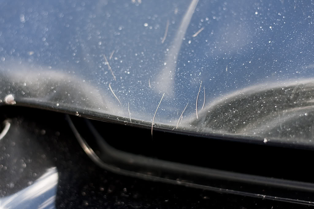 Name:  hood3.jpg
Views: 59
Size:  97.4 KB