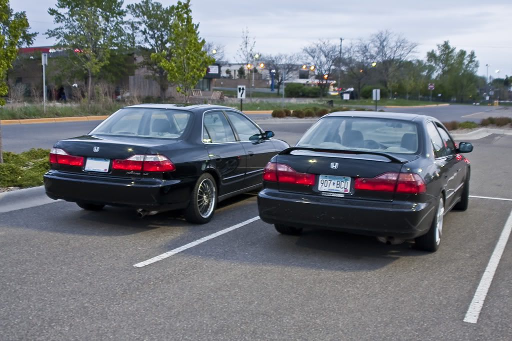 Name:  finchxluben1.jpg
Views: 38
Size:  158.8 KB