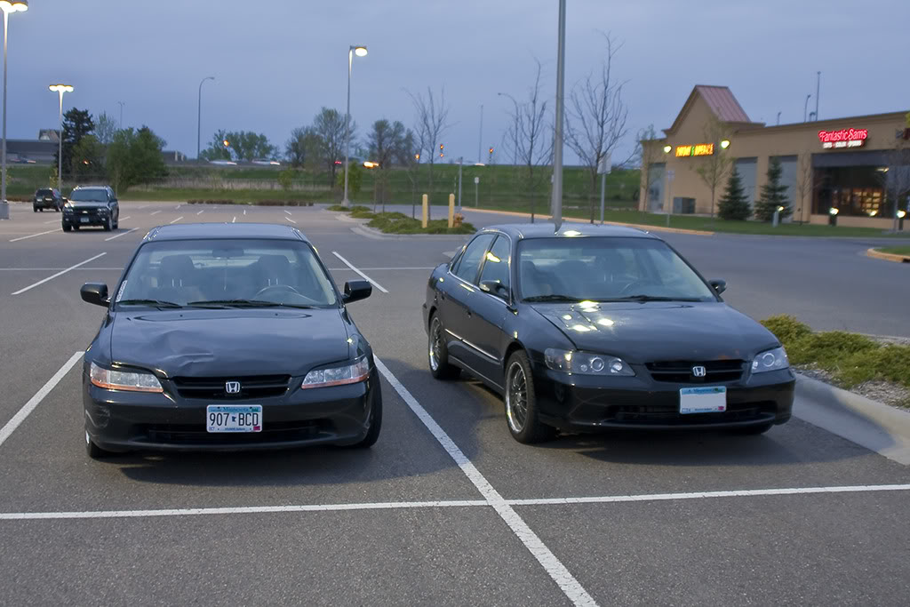 Name:  finchxluben2.jpg
Views: 83
Size:  128.3 KB