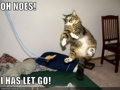 Name:  oh-noes.jpg
Views: 42
Size:  29.2 KB