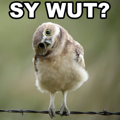 Name:  post-108813-1136869006.jpg
Views: 75
Size:  36.8 KB