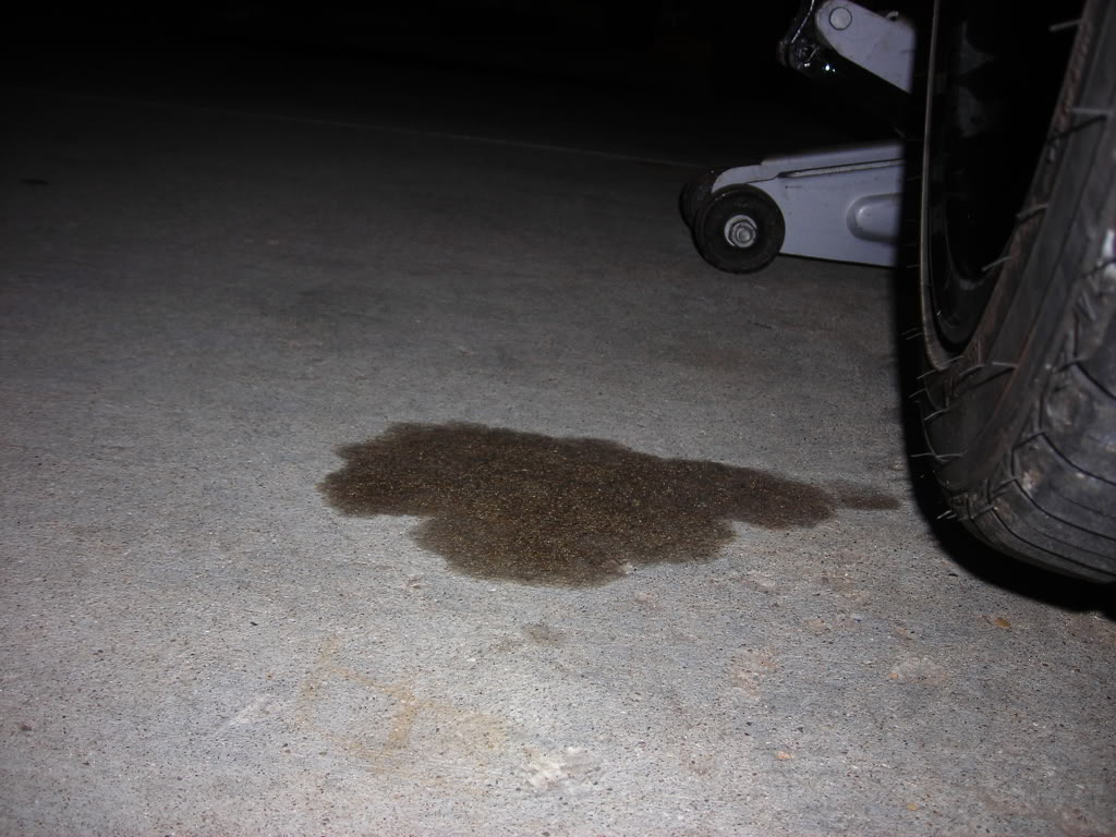 Name:  DSCN2489.jpg
Views: 56
Size:  144.2 KB