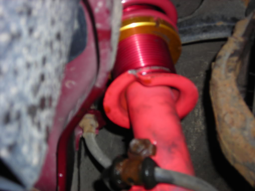 Name:  DSCN2491.jpg
Views: 40
Size:  59.6 KB