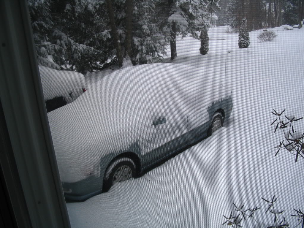 Name:  001-15.jpg
Views: 60
Size:  205.3 KB