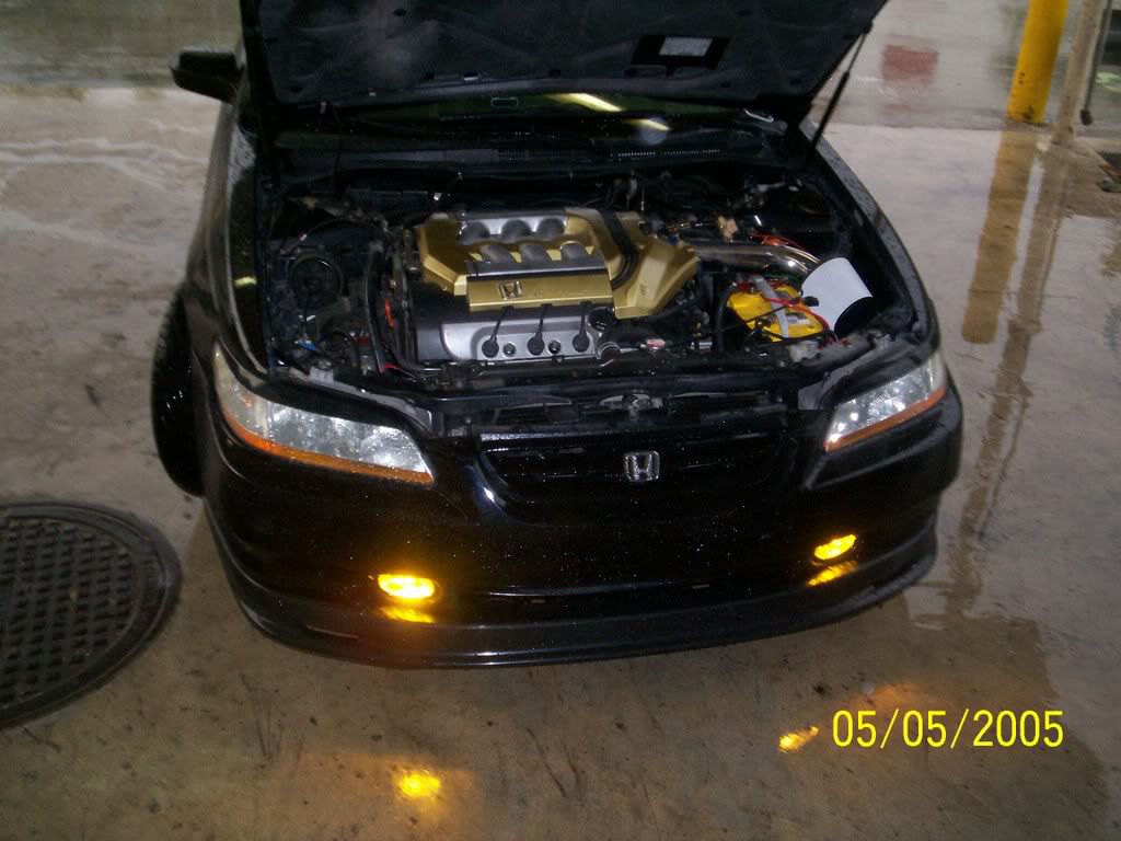 Name:  001_1195.jpg
Views: 913
Size:  106.9 KB