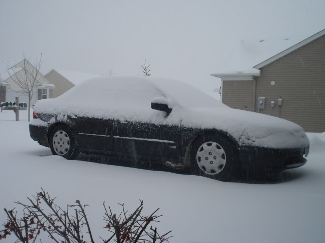 Name:  DSC01669.jpg
Views: 32
Size:  34.4 KB