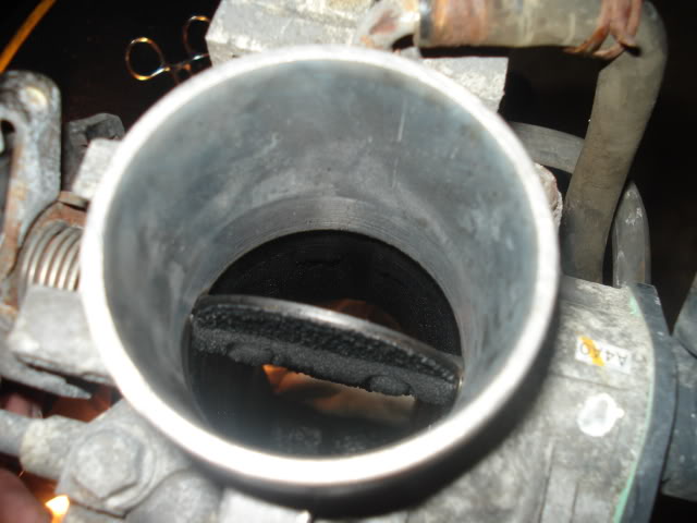 Name:  DSC01679.jpg
Views: 35
Size:  38.5 KB