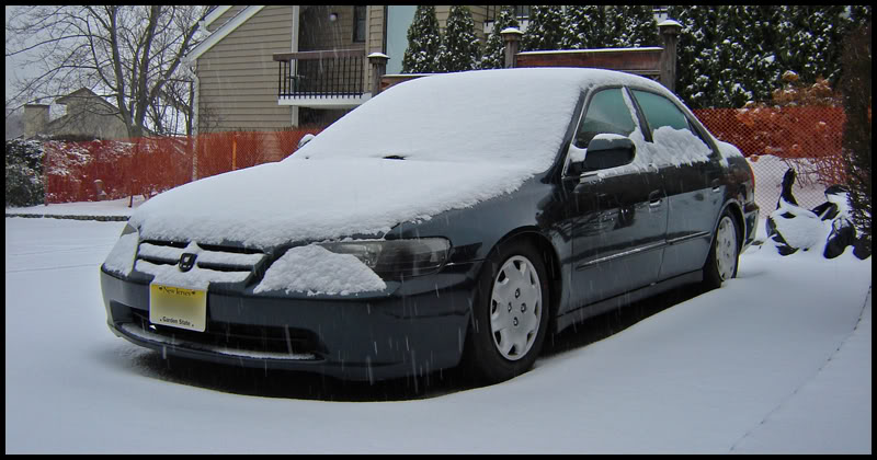 Name:  DSC02313.jpg
Views: 52
Size:  77.1 KB