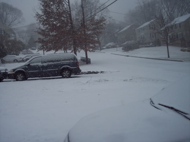 Name:  100_7690.jpg
Views: 23
Size:  43.4 KB